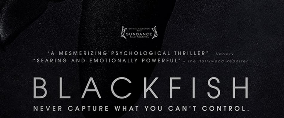 A poster for Blackfish featuring an orca whale in a captivating illustration, highlighting the dark reality of SeaWorld.